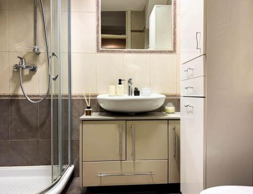 a bathroom with a sink and a shower at Big company/Old Town Treasure in Belgrade
