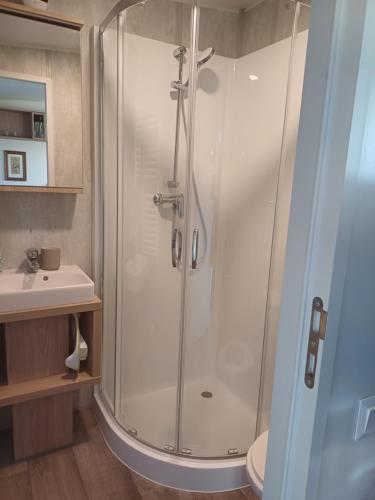 a bathroom with a shower and a sink at Tinyhouse Wemding in Wemding