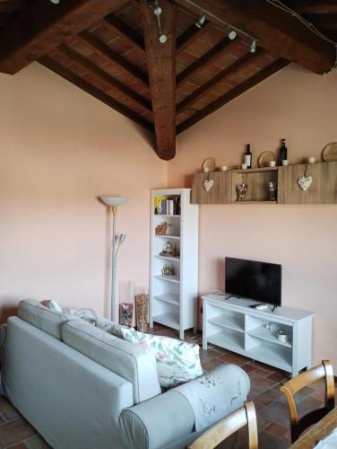a living room with a couch and a tv at Appartamento Olivella in Reggello
