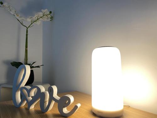 a table with a vase of flowers and a light at Séjour cosy près de Paris T3 cuisine ouverte et bar in Ris-Orangis