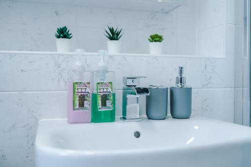 um lavatório de casa de banho com sabonete e garrafas em Stays Lilies House em Chester