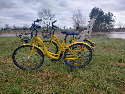 two yellow bikes parked in the grass near a river at Chatka in Stegienka