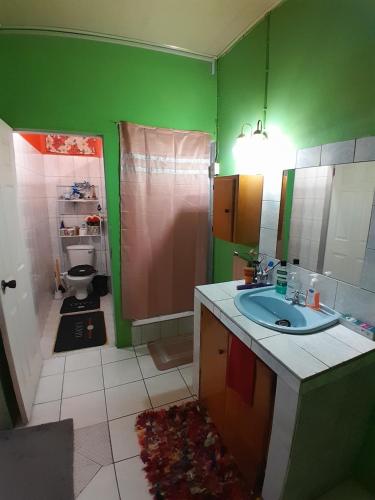 a green bathroom with a sink and a shower at Mandy's Homestay in Couva