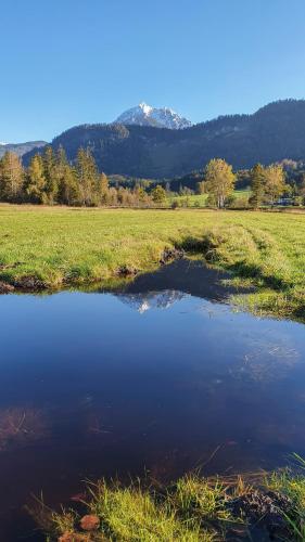 a pond in a field with a mountain in the background at Villa Elisabeth in Strobl