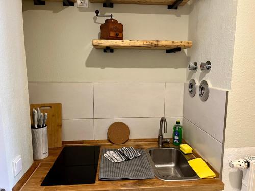 eine Küche mit einer Spüle und einer Theke in der Unterkunft Studio an der Elbe mit Balkon, Küche und Netflix in Dresden