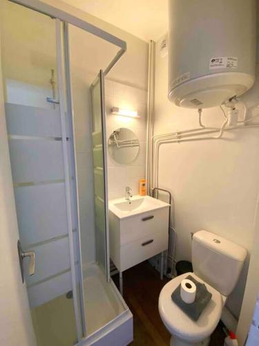 une petite salle de bain avec toilettes et lavabo dans l'établissement Charmant studio au calme proche centre ville, à Rennes