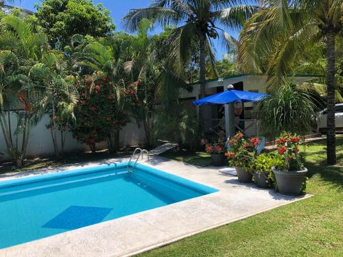 a swimming pool in front of a house with plants at Casa en Juan Angel Ver in Chachalacas