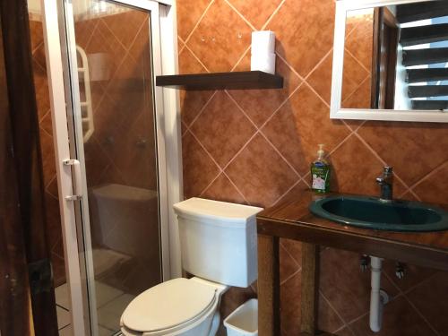 a bathroom with a toilet and a sink and a shower at Casa en Juan Angel Ver in Chachalacas