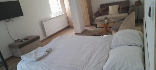 ein Schlafzimmer mit einem Bett und ein Wohnzimmer mit einem Sofa in der Unterkunft Hana apartman 04 in Sarajevo