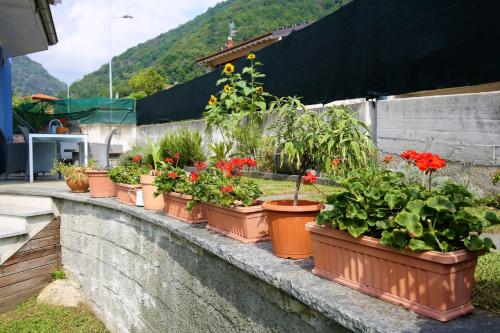 Γενική θέα στο βουνό ή θέα στο βουνό από  αυτό το διαμέρισμα