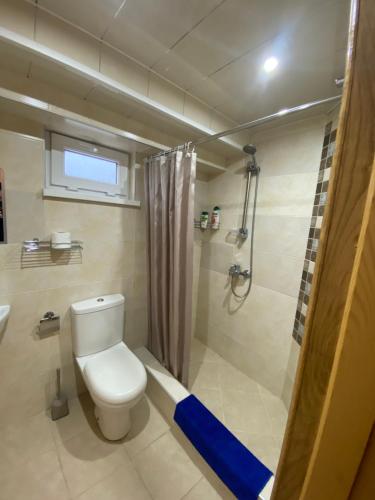 a bathroom with a toilet and a shower at Nagi House in Zugdidi