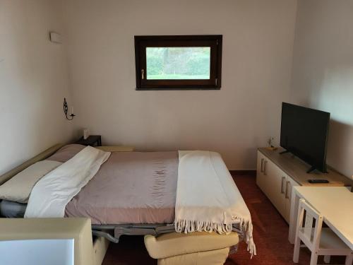 1 dormitorio con 1 cama y escritorio con TV en Romantica casa vacanza direttamente in piscina, en Castiglione del Lago