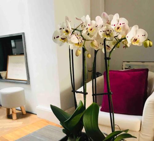 Maison entière proche tram 170 m2 jardin parking