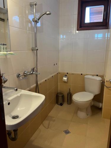 a bathroom with a toilet and a sink at Hotel Daffi in Smolyan