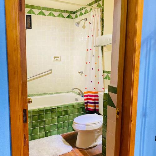 a green bathroom with a toilet and a bath tub at Hotel Antigua Casa de Piedra in San Miguel de Allende