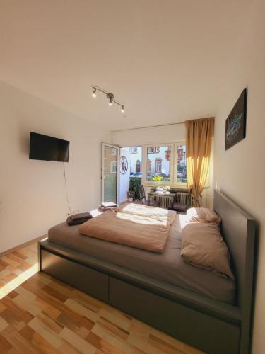 Zentrales Apartment mit Balkon und Parkplatz في ترير: غرفة نوم بسرير كبير في غرفة