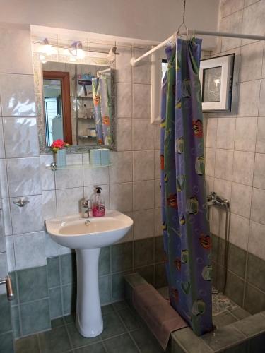 bagno con lavandino e doccia di Agistri SOPHIA'S APARTMENT a Skala