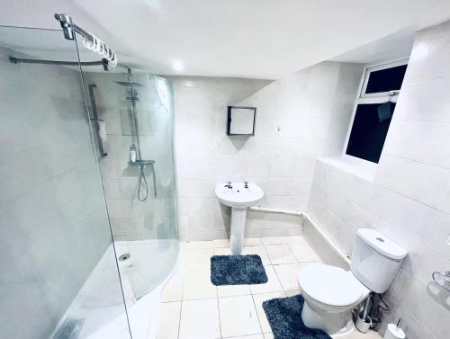 a bathroom with a toilet and a sink and a shower at Cosy apartment with parking close to Ipswich station in Ipswich