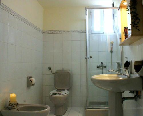 a bathroom with a toilet and a sink at Alegria apartments in Gaios
