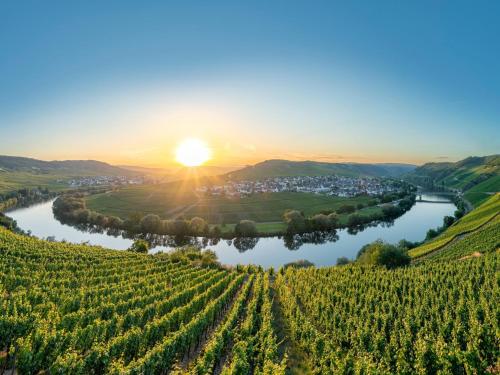 a vineyard with the sun setting over a river and a town at Apartment near the river in Ediger Eller in Ediger-Eller
