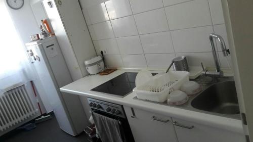 uma cozinha com um lavatório e uma bancada em Otthonos Szállás em Stuttgart