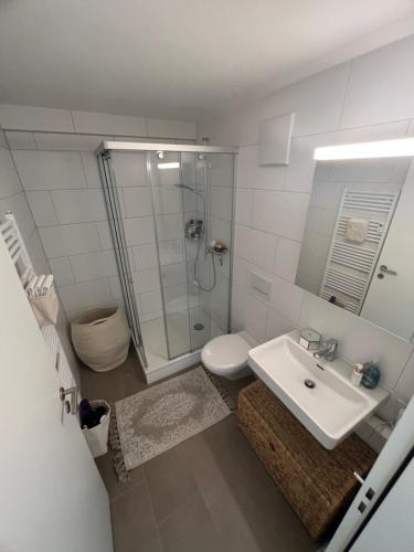une salle de bain avec une douche, un lavabo et des toilettes dans l'établissement Best located & fully equipped apartment at Basel SBB main station, à Bâle