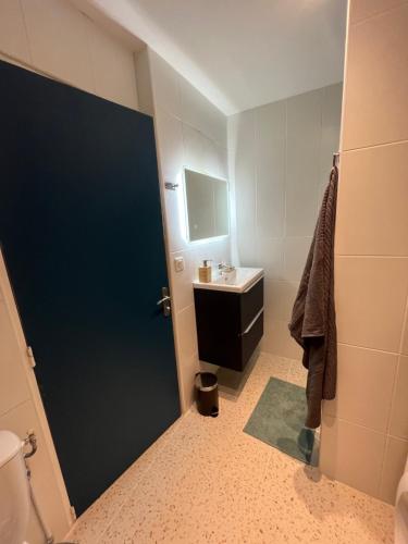 La salle de bains est pourvue d'une porte bleue et d'un lavabo. dans l'établissement APPT T2 entre Gare Matabiau et Capitole, à Toulouse