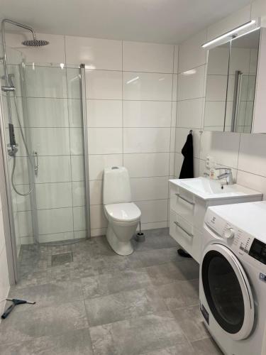 a bathroom with a toilet and a shower and a washing machine at Åreskutans lägenhet i Huså - med laddning för bil 22 kw in Huså