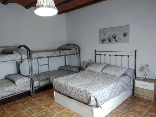 a bedroom with two bunk beds and a lamp at La sombra del lagarto in Peñaflor
