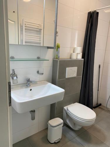 ein Bad mit einem Waschbecken und einem WC in der Unterkunft Holiday Apartments House in Essen