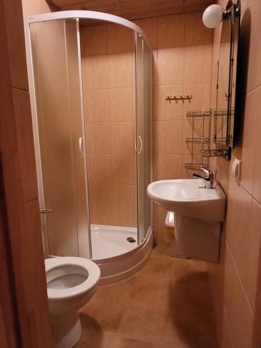 a bathroom with a shower and a toilet and a sink at Willa Gloria in Zakopane
