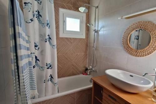La salle de bains est pourvue d'un lavabo et d'un rideau de douche. dans l'établissement Appartement Des Flamants Roses, à Palavas-les-Flots