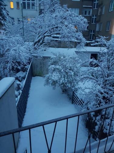 a balcony with snow covered trees and a building at Modern apartment cologne in Cologne