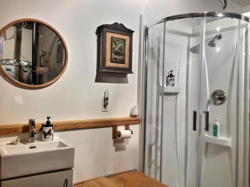 a bathroom with a shower and a sink and a mirror at Studio écologique des Jardins de Maïa in Portneuf