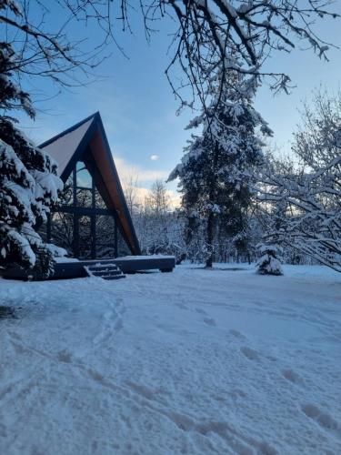 una casa cubierta de nieve en un campo en Aret House, en Avrig