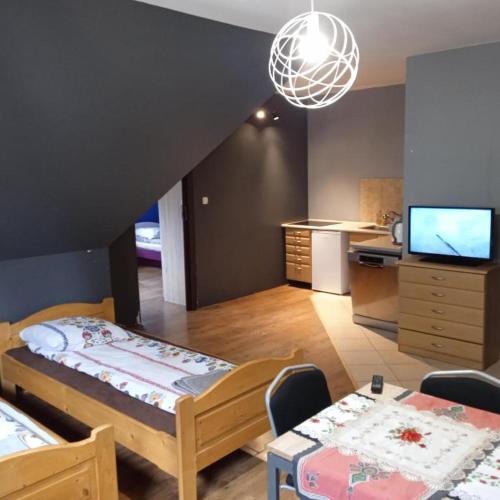 Il comprend une chambre avec un lit et une cuisine avec une télévision. dans l'établissement Apartamenty Pokoje Zakopane, à Zakopane