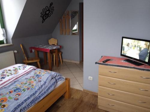 a bedroom with a bed and a dresser with a tv on it at Apartamenty Pokoje Zakopane in Zakopane