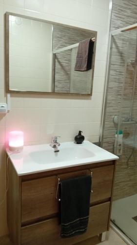 La salle de bains est pourvue d'un lavabo, d'un miroir et d'une douche. dans l'établissement A parada da Ribeira, à Ourense