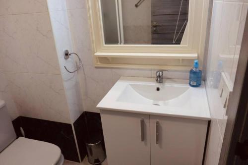 La salle de bains est pourvue d'un lavabo, d'un miroir et de toilettes. dans l'établissement Apartamento en Málaga, Vialia, à Malaga