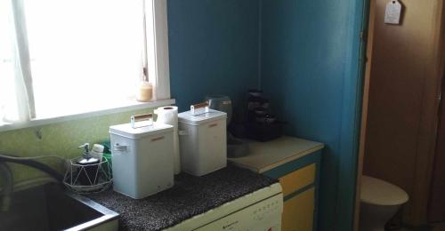 a kitchen with two small refrigerators on a counter at Blissful Rental in Motueka