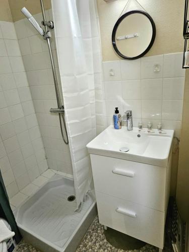 W łazience znajduje się prysznic, umywalka i prysznic. w obiekcie studio centre-ville agréable w mieście Vendôme