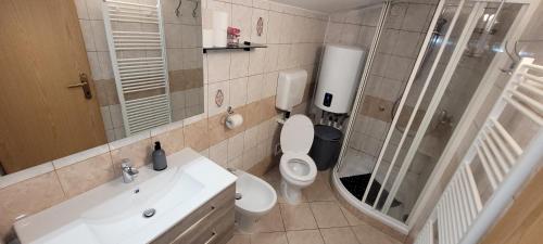 een badkamer met een toilet, een wastafel en een douche bij Apartmaji Sonček Izola in Izola