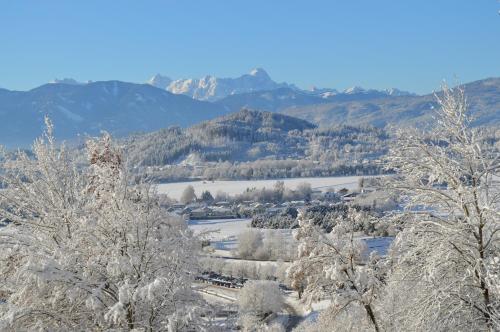a winter view of a town with snow covered trees at Jägerhotel in Annenheim