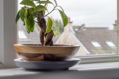 Φωτογραφία από το άλμπουμ του 1 bed apartment central Hamilton free wifi with great transport links to Glasgow σε Χάμιλτον