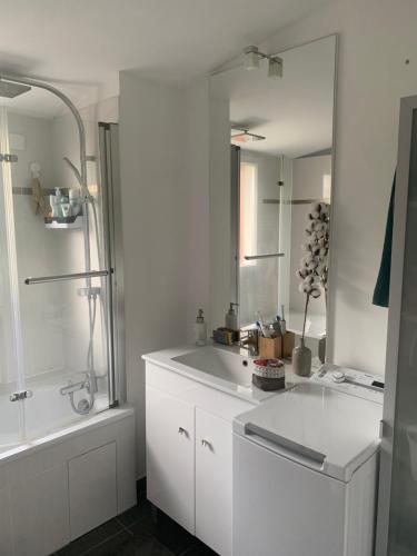 baño blanco con ducha y lavamanos en Appartement avec roof top, en Saint-Brice-sous-Forêt