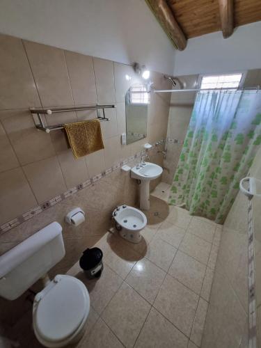 a bathroom with a toilet and a sink and a shower at Cuarta División Apartments in Malargüe