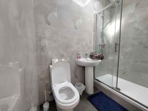 a bathroom with a toilet and a sink and a shower at Ilford Town Centre Studio in Ilford