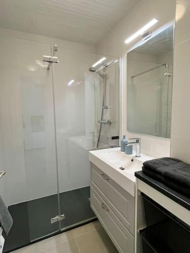 une salle de bain avec un lavabo et une douche en verre dans l'établissement Appartement centre ville Milly-la-Forêt, à Milly-la-Forêt