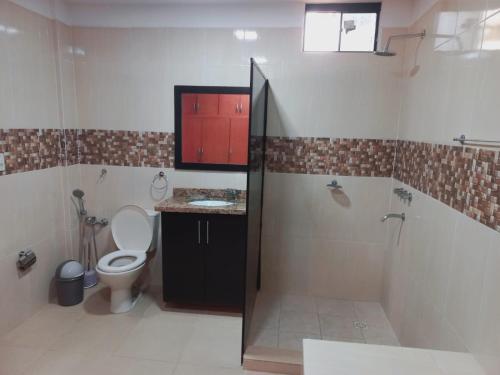 a bathroom with a toilet and a shower and a sink at La Piña Dorada in San Lorenzo de la Frontera