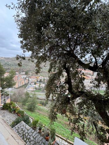 een boom op een heuvel met enkele planten bij SlabonHome Serrallo in Granada